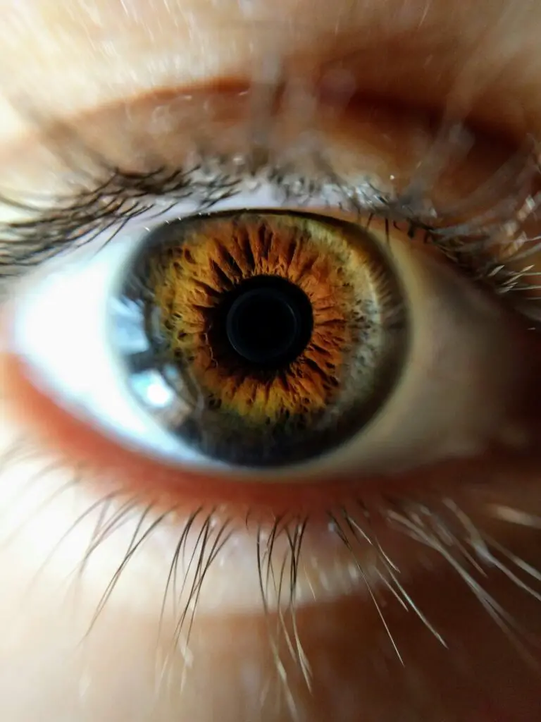 AI is revolutionizing eye care